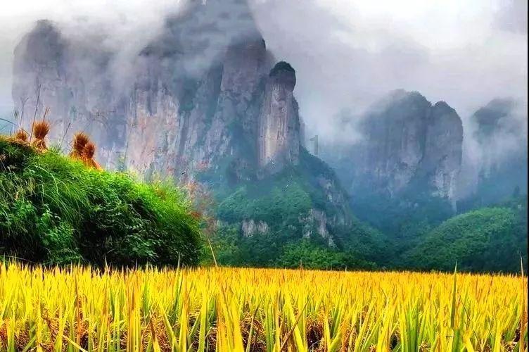 天堂契约