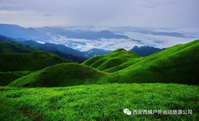 孪生画室又又又又又出状元啦！！！
