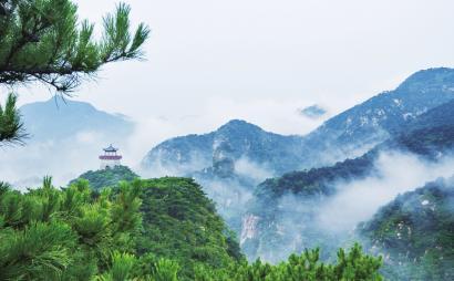 消逝的光芒：信徒